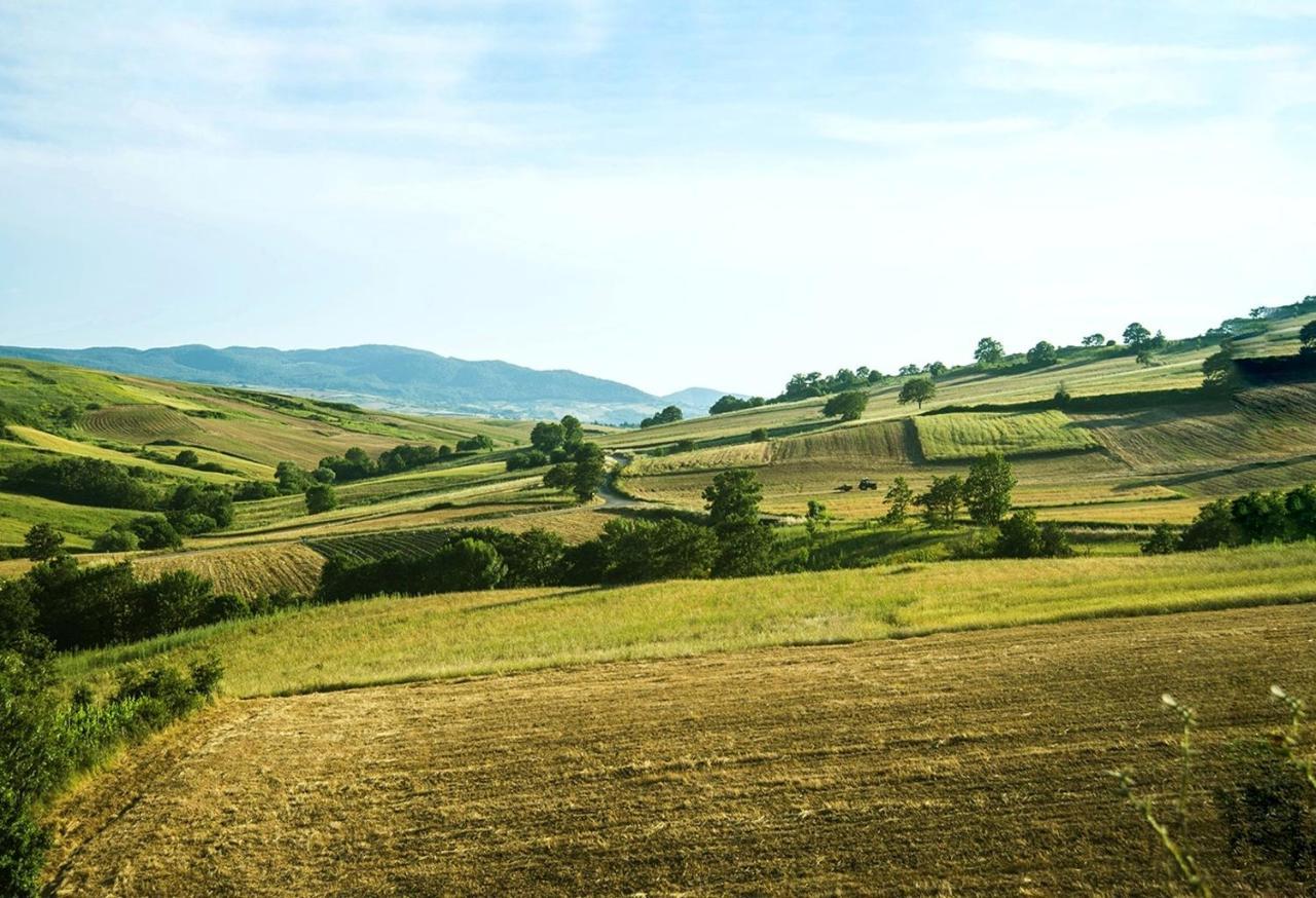 Le Pitture Casa Di Campagna Filiano 外观 照片